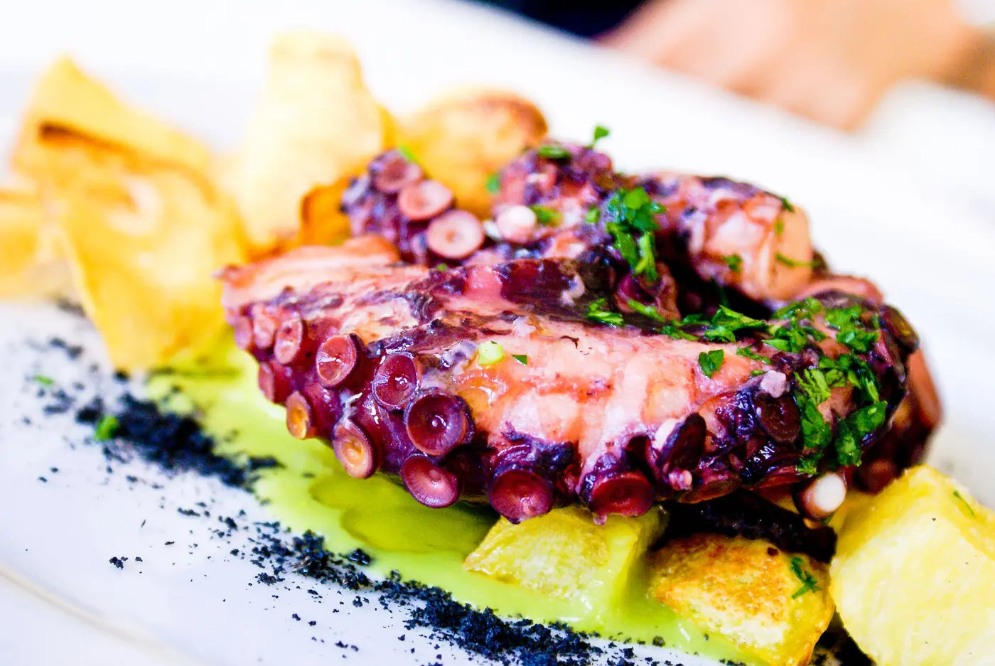 Pulpo a la brasa con all i oli, sobre tabla de madera